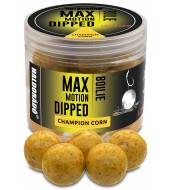 Haldorádó MAX MOTION Boilie Dipped 20 mm - Champion Corn