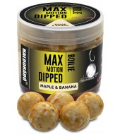 Haldorádó MAX MOTION Boilie Dipped 20 mm - Juhar & Banán