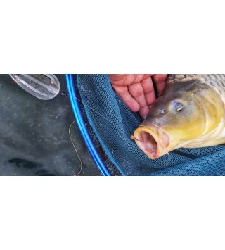 TOP MIX Method Feeder Circle Hook horog #6